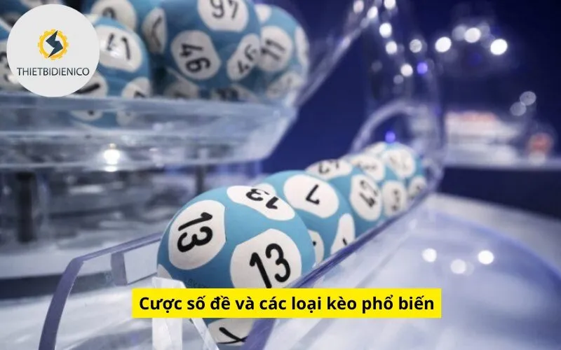 Cược số đề và các loại kèo phổ biến