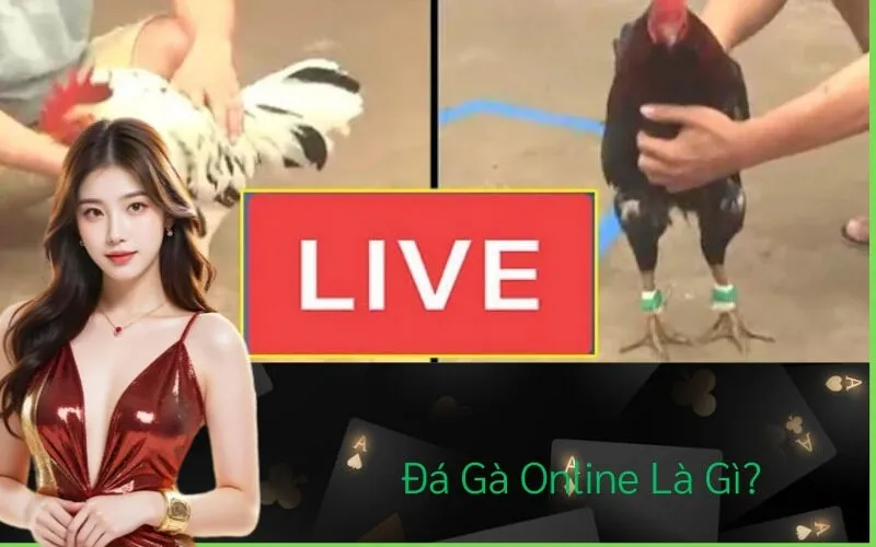 Đá Gà Online Là Gì?