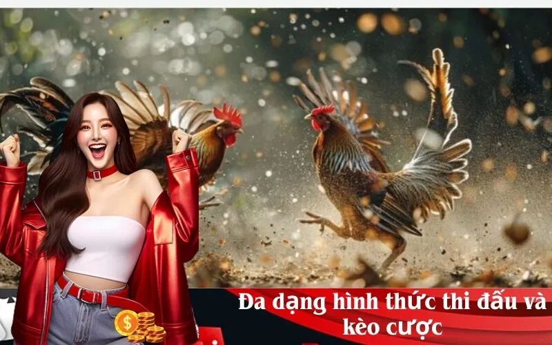 Đa dạng hình thức thi đấu và kèo cược