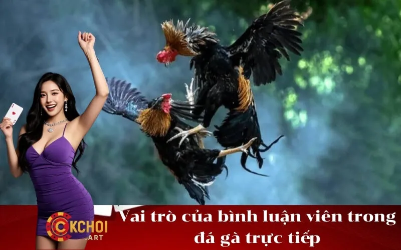 Vai trò của bình luận viên trong đá gà trực tiếp