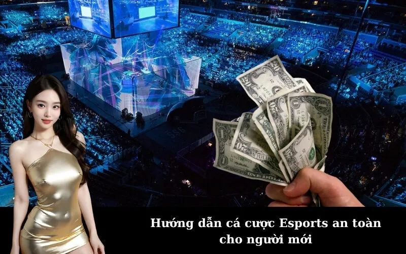 Hướng dẫn cá cược Esports an toàn cho người mới