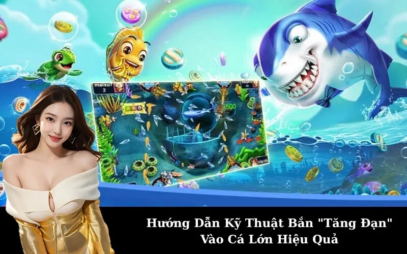 Hướng Dẫn Kỹ Thuật Bắn "Tăng Đạn" Vào Cá Lớn Hiệu Quả