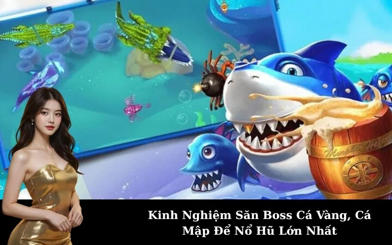 Kinh Nghiệm Săn Boss Cá Vàng, Cá Mập Để Nổ Hũ Lớn Nhất