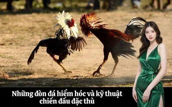 Những đòn đá hiểm hóc và kỹ thuật chiến đấu đặc thù