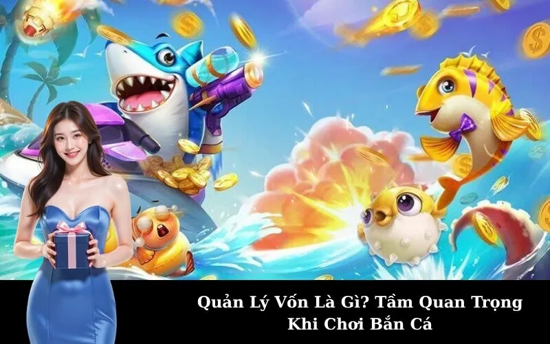 Quản Lý Vốn Là Gì? Tầm Quan Trọng Khi Chơi Bắn Cá